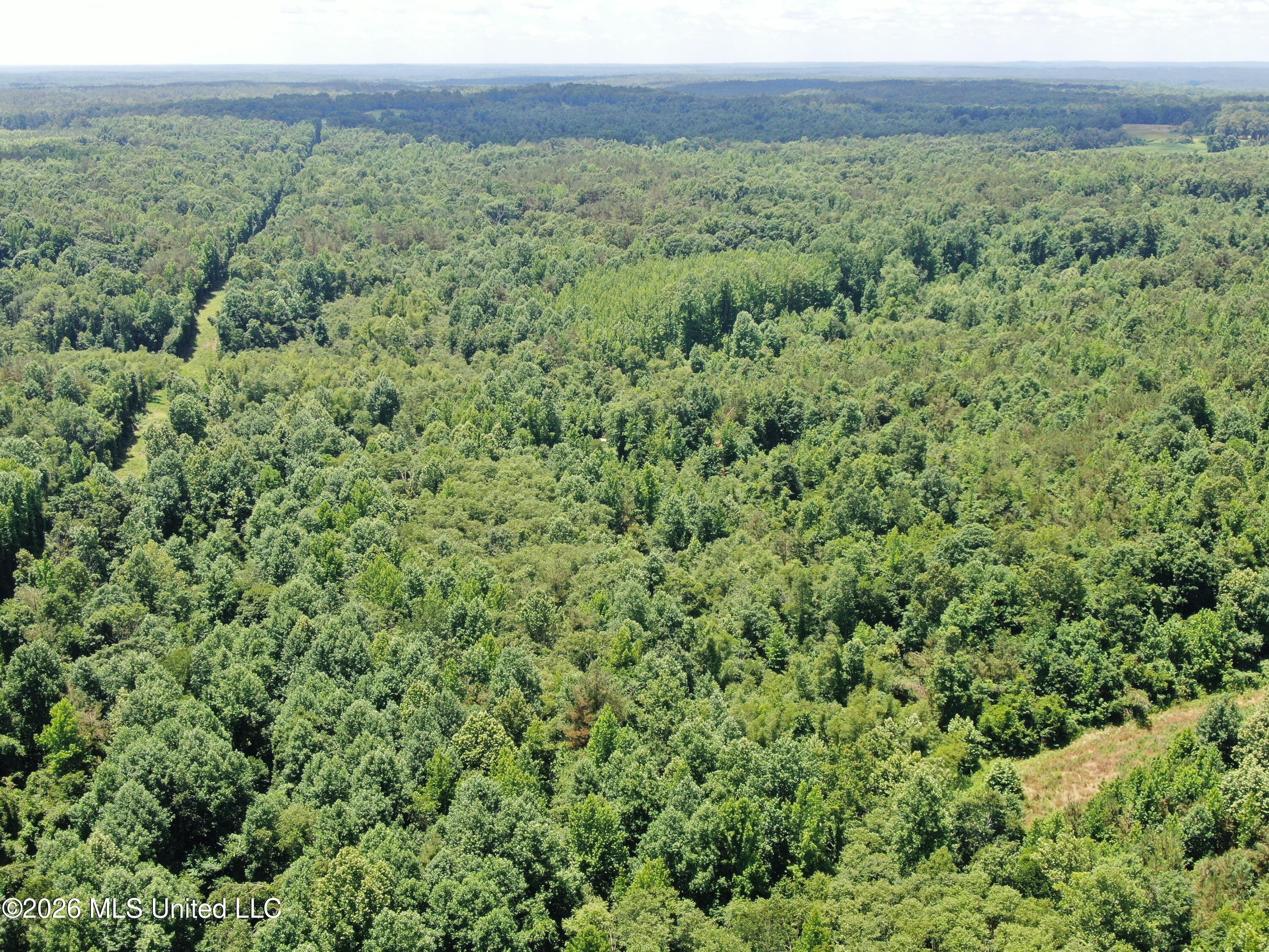0 Scruggs Road Holly Springs, MS 38635 - Photo 6 of 25 DJI_0033