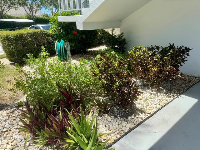 a view of a wooden floor with a tree