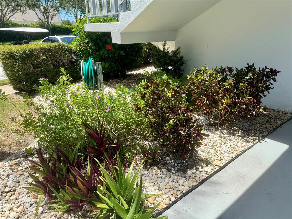 11201 80th Avenue, Unit 101 Seminole, FL 33772 - Photo 27 of 31 a view of a garden