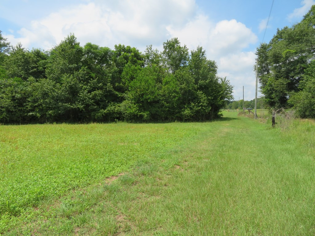 Tbd Tbd Samuel Alston Sr Road Rembert, SC 29128 - Photo 5 of 5