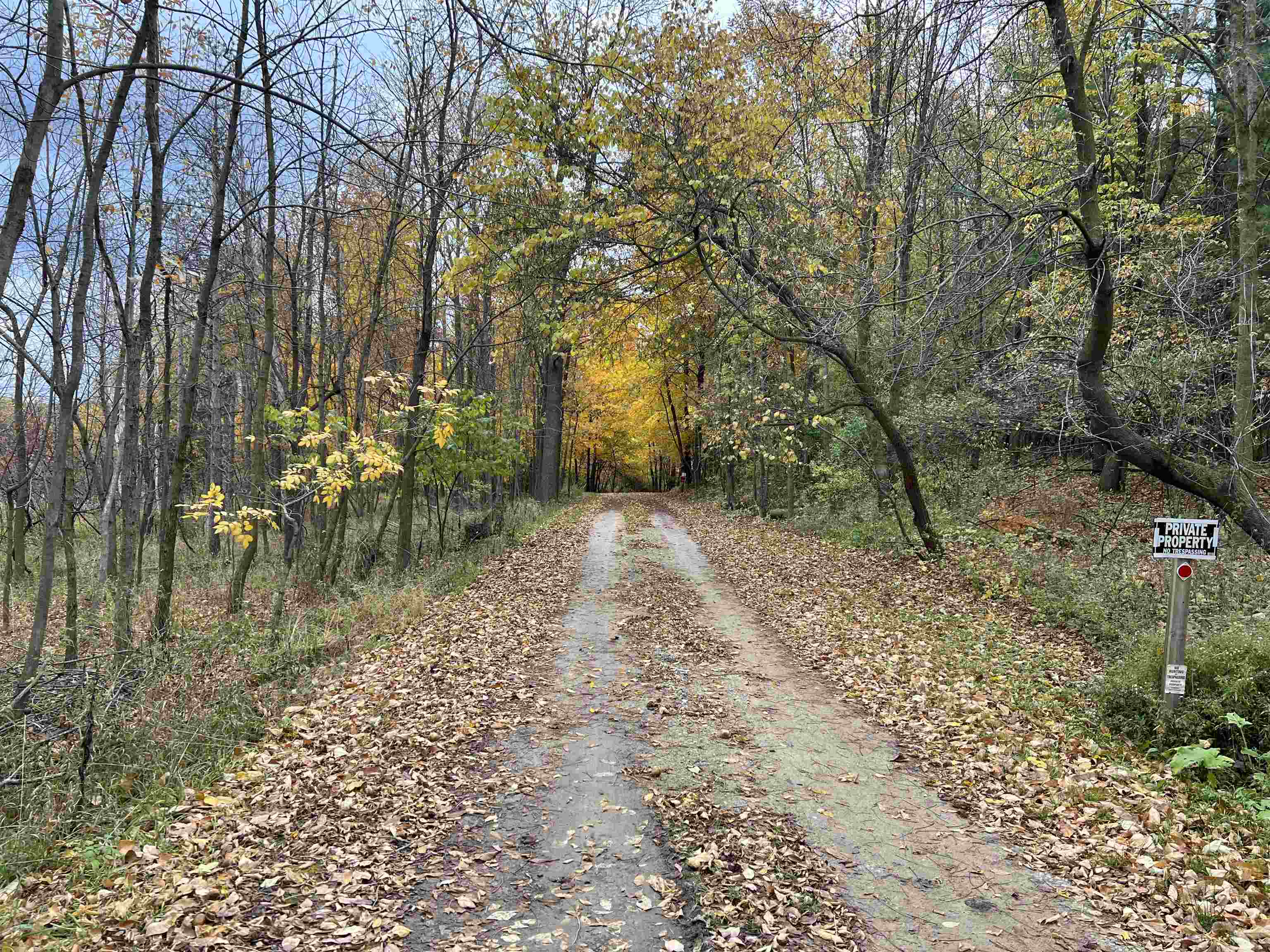 6101 South Nottawa Road Mount Pleasant, MI 48858 - Photo 48 of 48 1917036-47.JPG