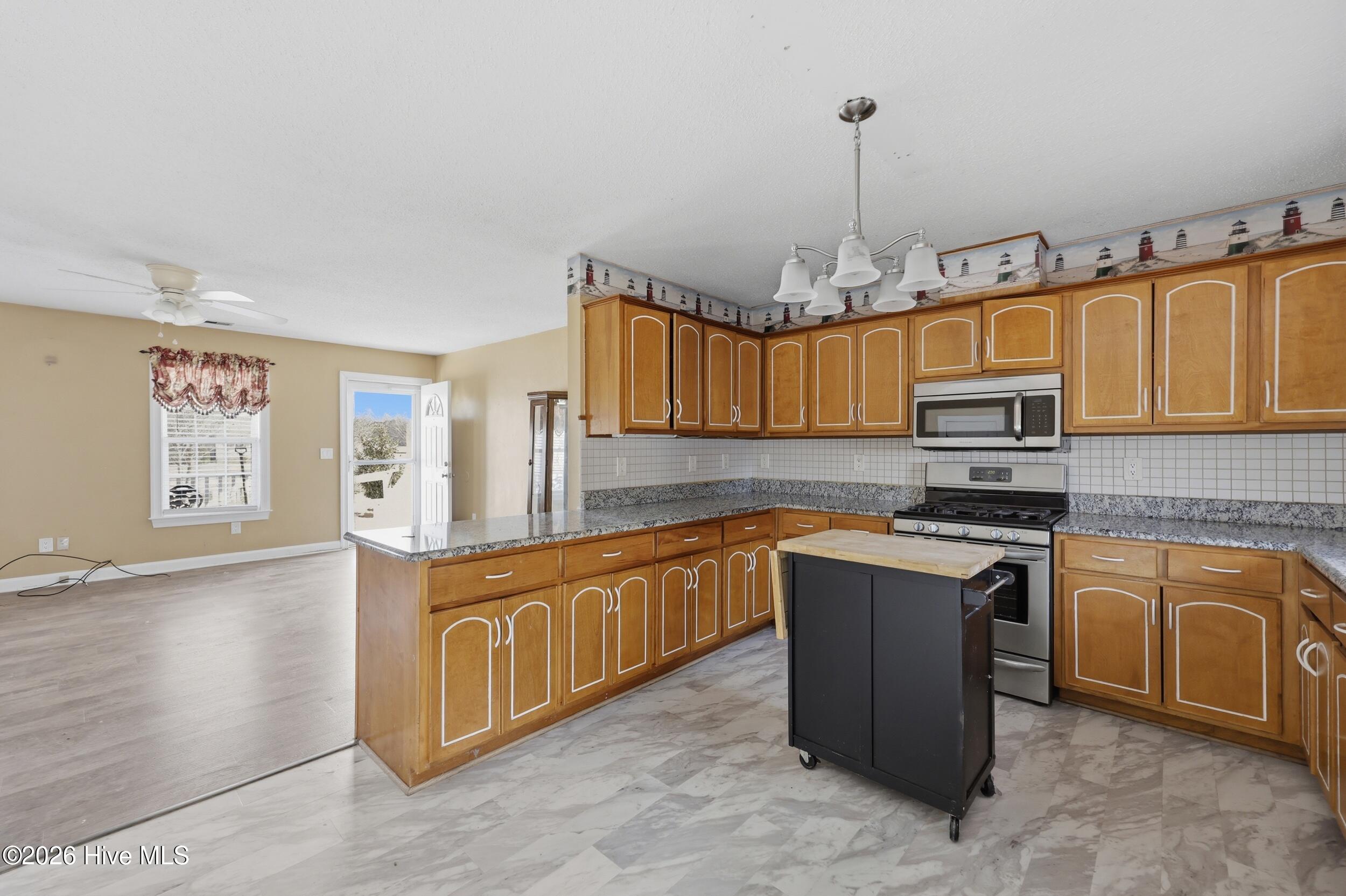 248 Culpepper Road South Mills, NC 27976 - Photo 9 of 28 9_005__39a9396