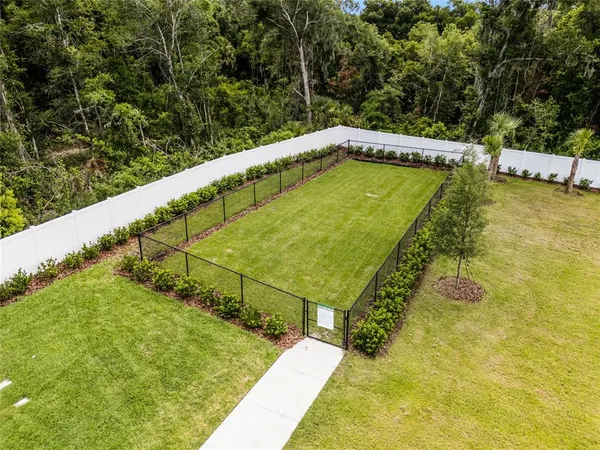 a view of a swimming pool with a yard and large trees