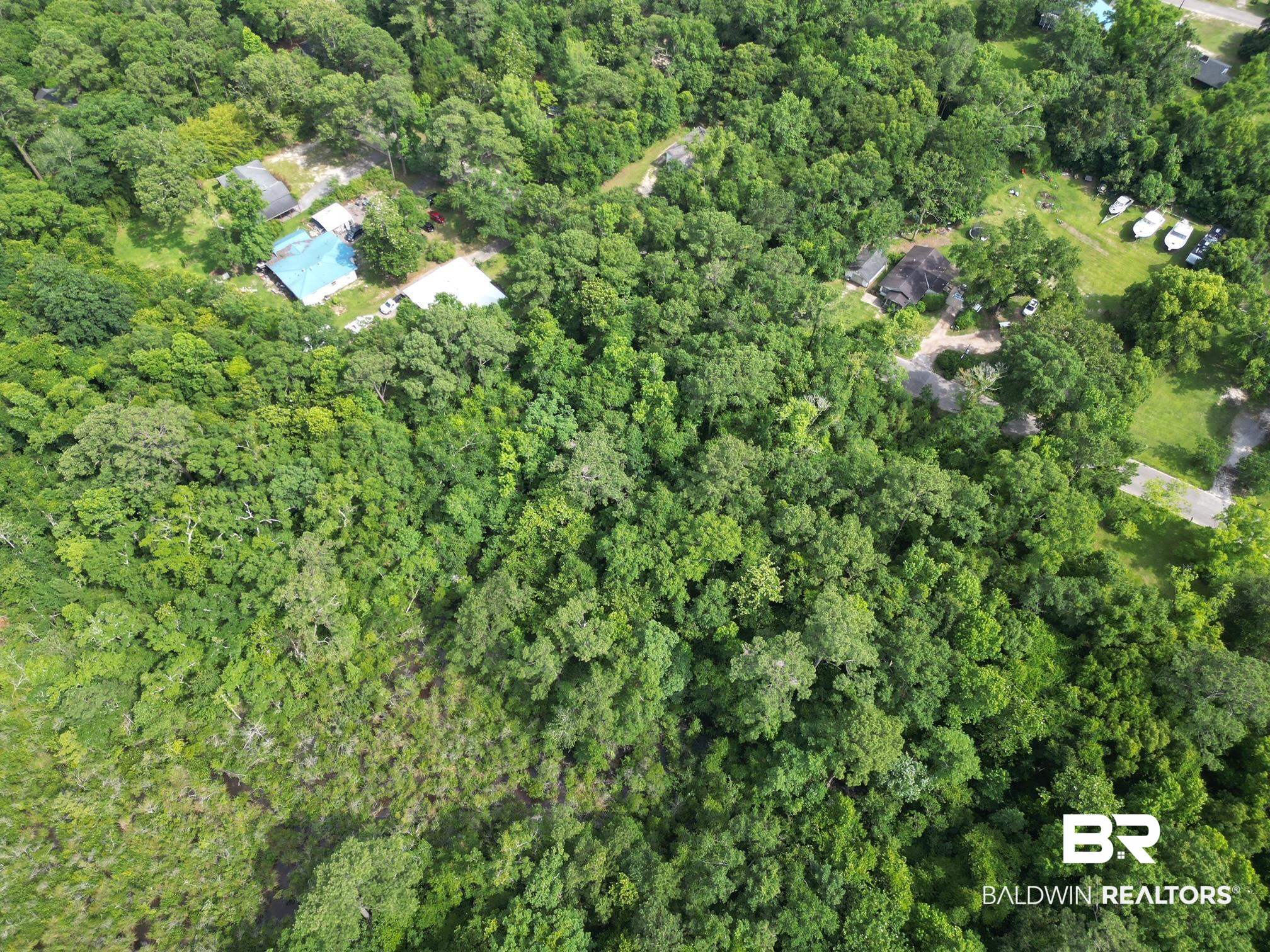 0 Canal Road Mobile, AL 36605 - Photo 3 of 5