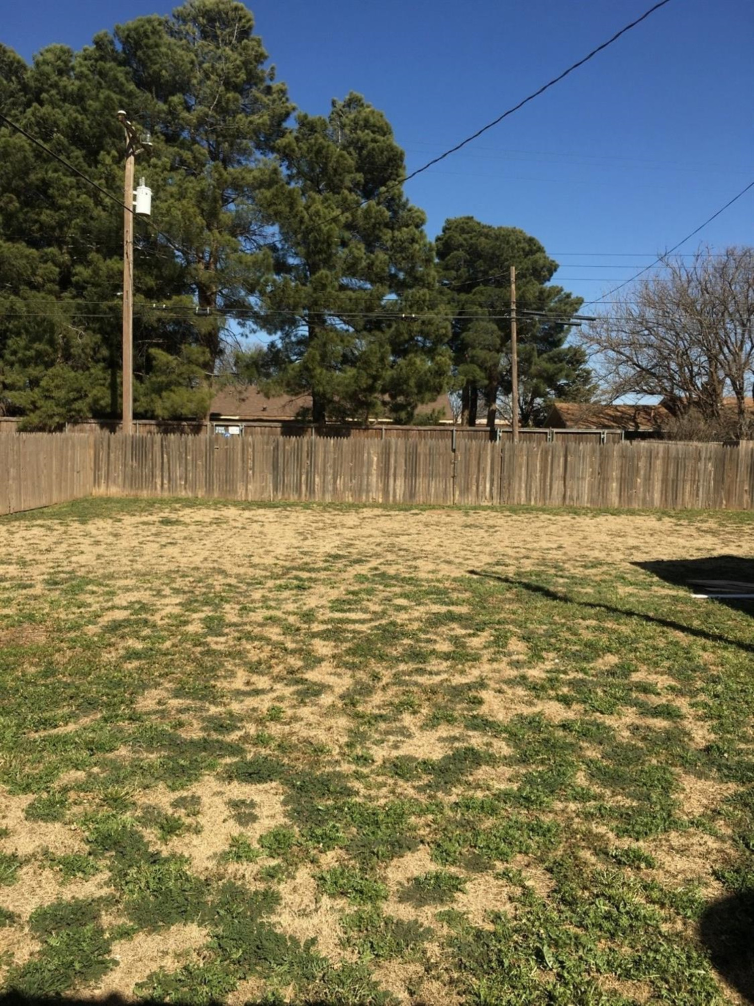 Very large backyard.