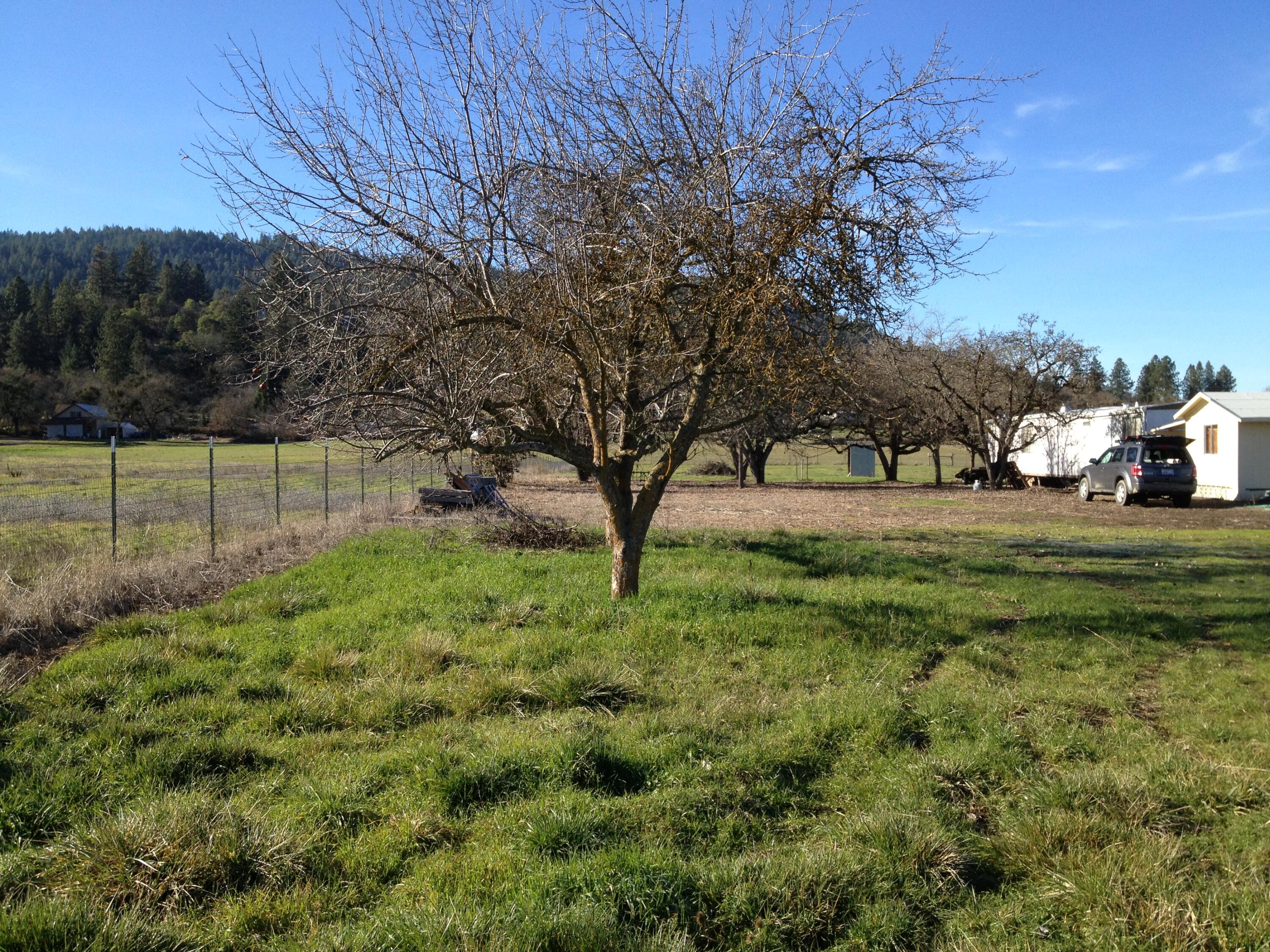 3320 Taylor Road Central Point, OR 97502 - Photo 16 of 33 8