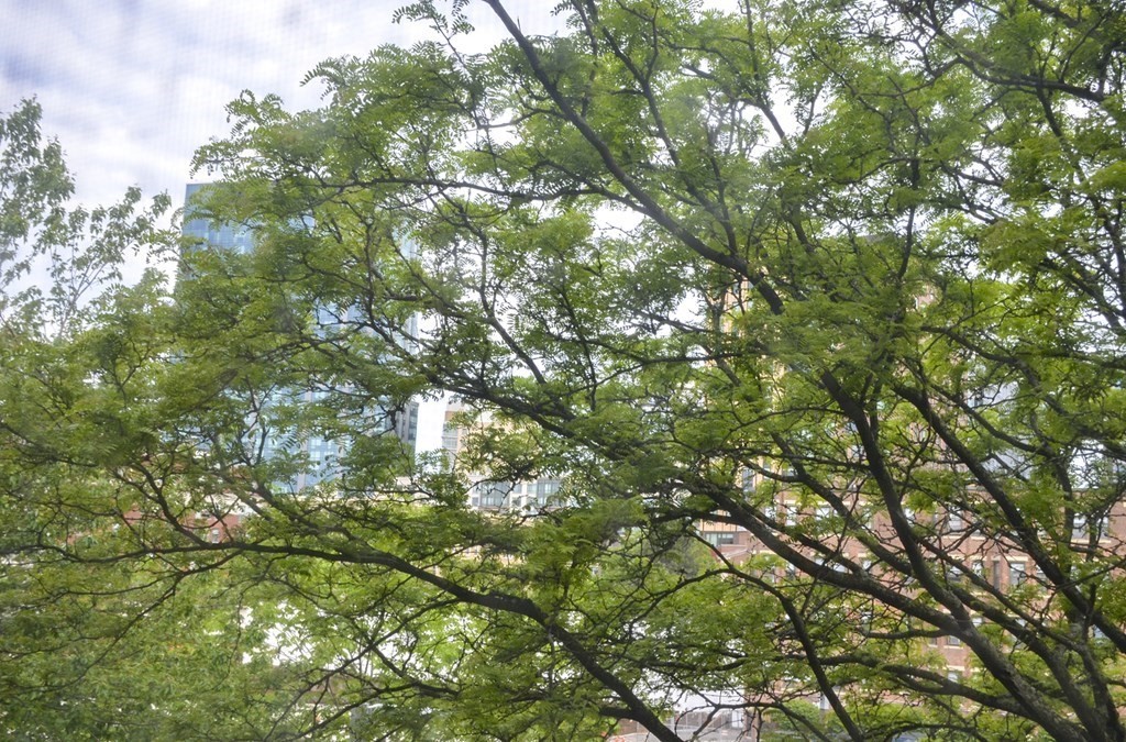 62 Queensberry Street, Unit 306 Boston, MA 02215 - Photo 9 of 20