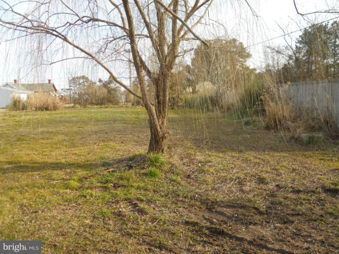 16178 Thomas Road Piney Point, MD 20674 - Photo 4 of 11 View