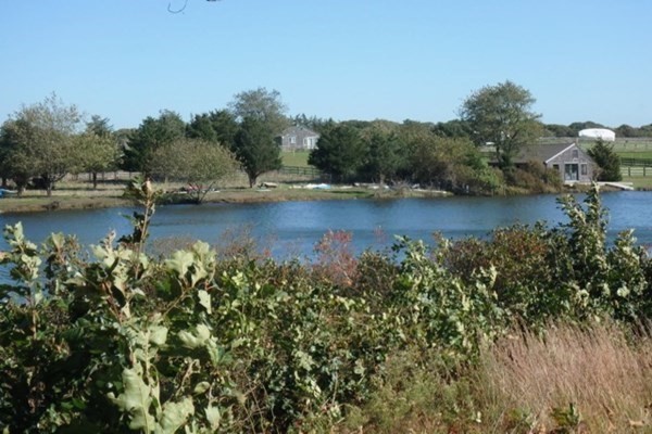 50 A Carl's Way West Tisbury, MA 02568 - Photo 2 of 19 an aerial view of a residential houses with outdoor space and trees