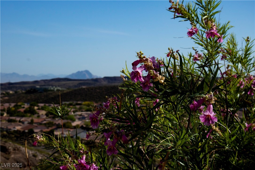 1596 Fieldbrook Street Henderson, NV 89052 - Photo 55 of 56 Sun City Anthem