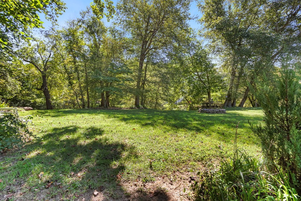 615 Little Ranger Road Murphy, NC 28906 - Photo 81 of 97 a view of outdoor space with trees all around