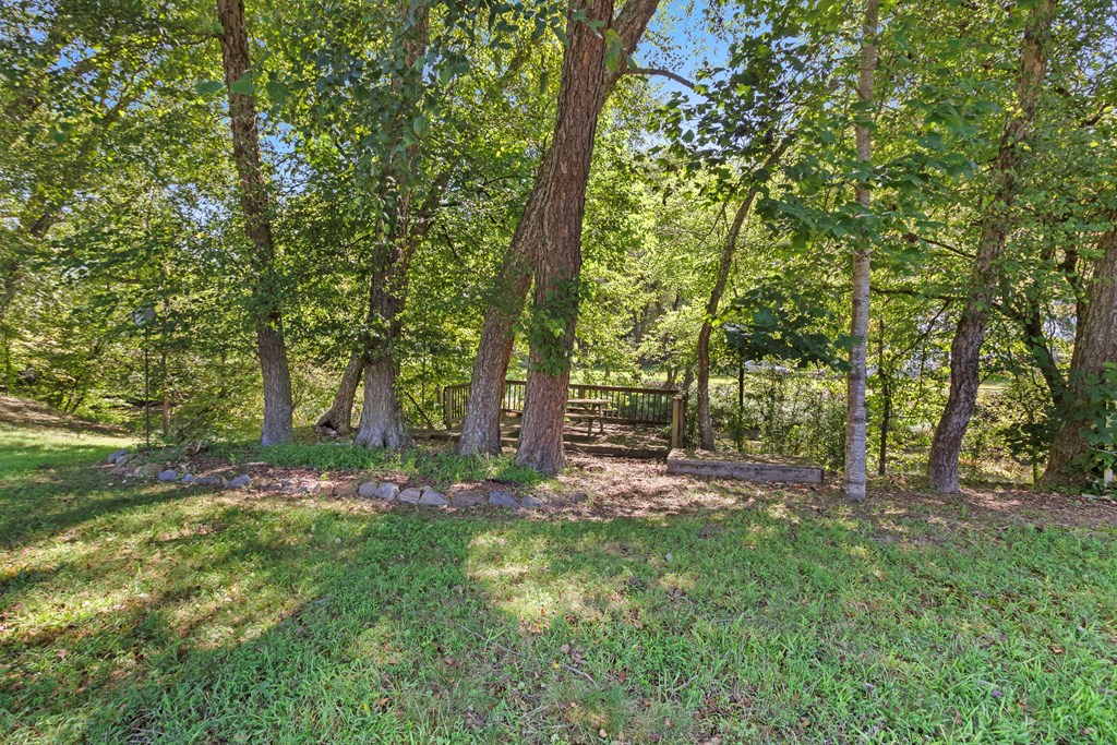 615 Little Ranger Road Murphy, NC 28906 - Photo 84 of 97 a backyard of a house with lots of green space