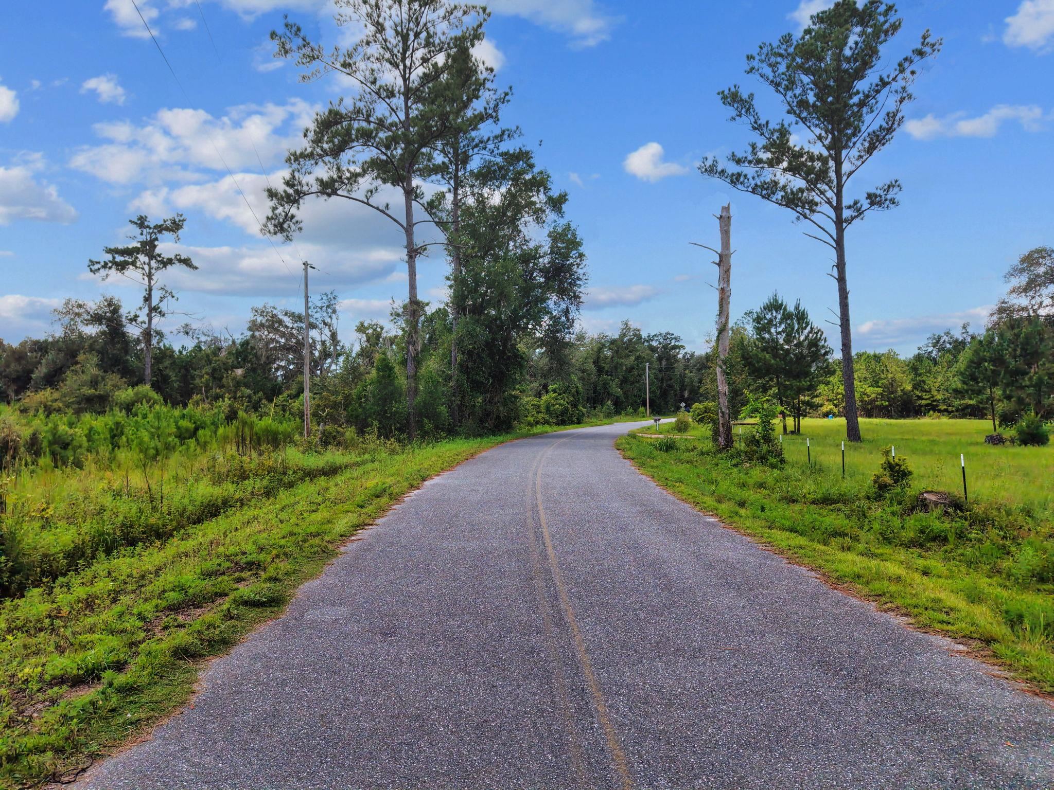 0 West Lyman Hendry Road Perry, FL 32347 - Photo 6 of 18 Gallery Image 6