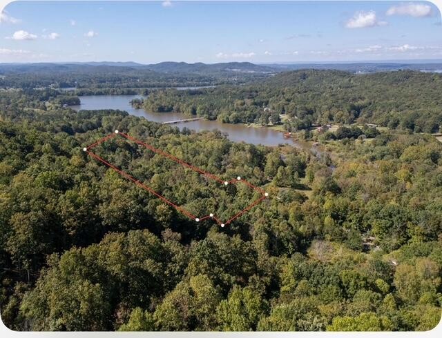 an aerial view of forest