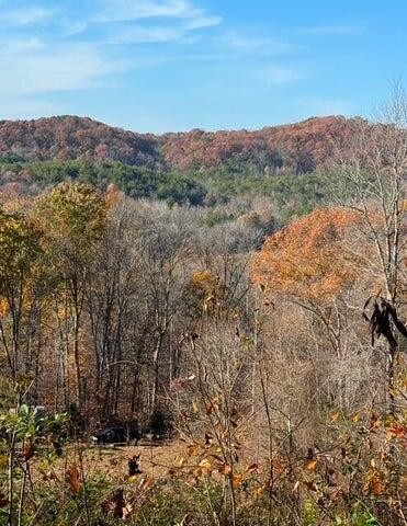 536 Geren Subdivision Lane Decatur, TN 37322 - Photo 11 of 13 a view of mountain with sunset in background