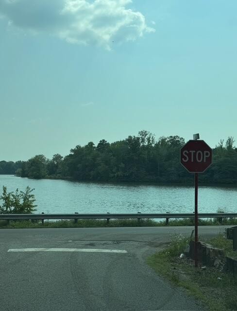 536 Geren Subdivision Lane Decatur, TN 37322 - Photo 12 of 13 a view of a lake from a yard