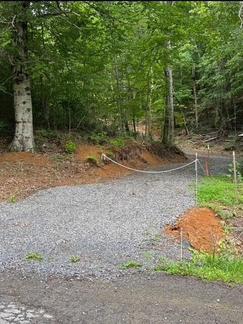 536 Geren Subdivision Lane Decatur, TN 37322 - Photo 2 of 13 a backyard of a house with lots of green space