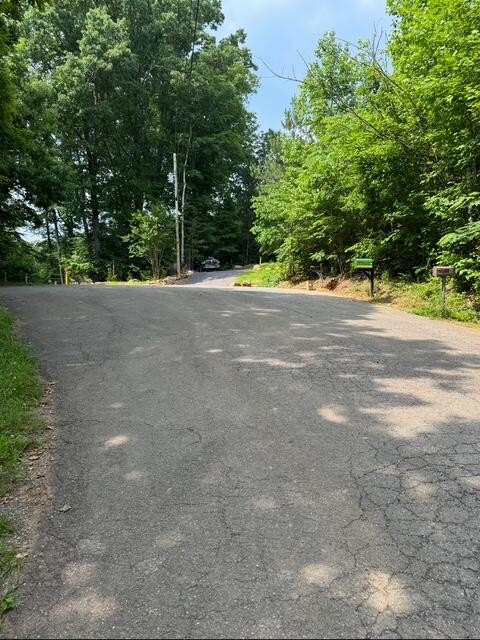536 Geren Subdivision Lane Decatur, TN 37322 - Photo 4 of 13 a view of a field with trees in the background