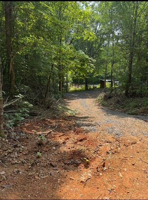 536 Geren Subdivision Lane Decatur, TN 37322 - Photo 5 of 13 a view of a tree with a yard