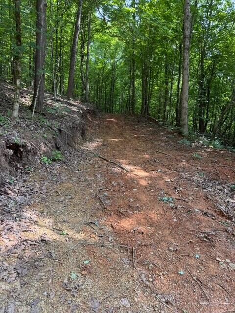 536 Geren Subdivision Lane Decatur, TN 37322 - Photo 6 of 13 a view of a forest with trees in the background