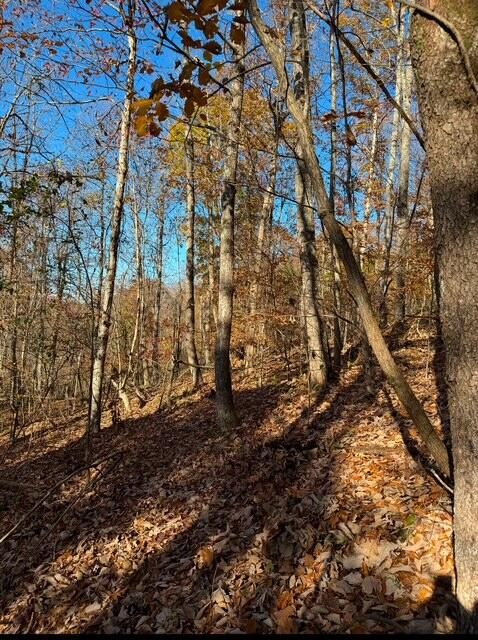536 Geren Subdivision Lane Decatur, TN 37322 - Photo 8 of 13 a backyard of a building