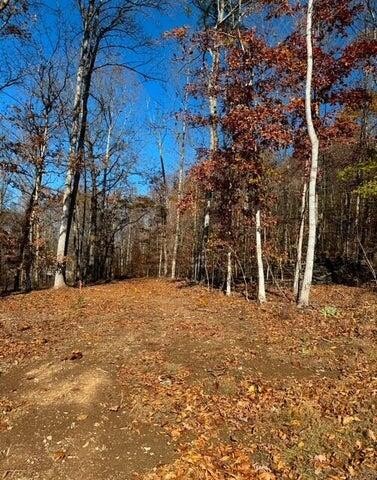 536 Geren Subdivision Lane Decatur, TN 37322 - Photo 10 of 13 a street view with large trees