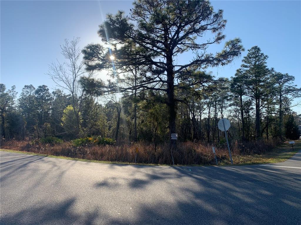 11445 Marvelwood Road Weeki Wachee, FL 34614 - Photo 1 of 1 Corner