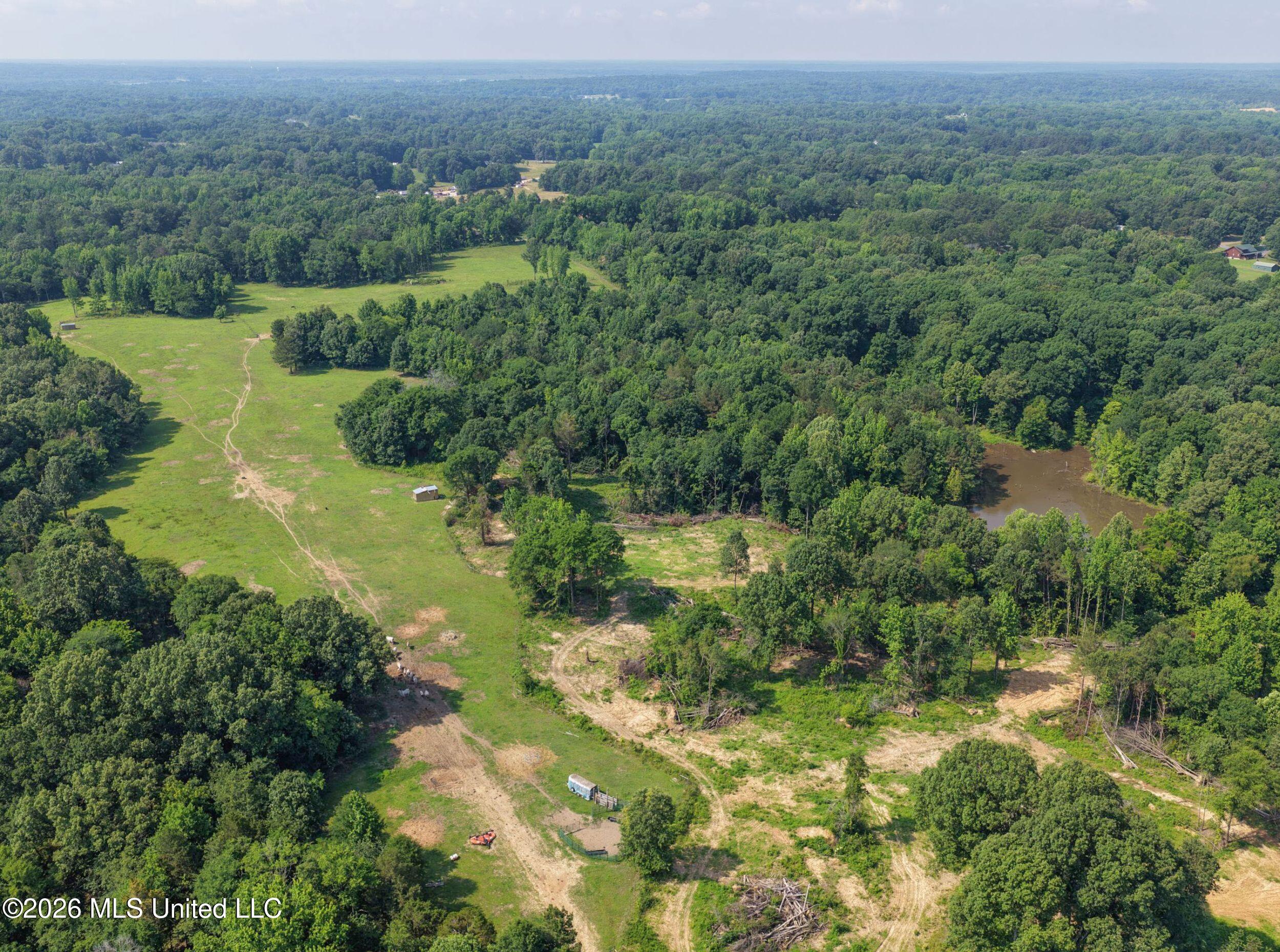 2169 Slocum Road Hernando, MS 38632 - Photo 15 of 94 5slcm6