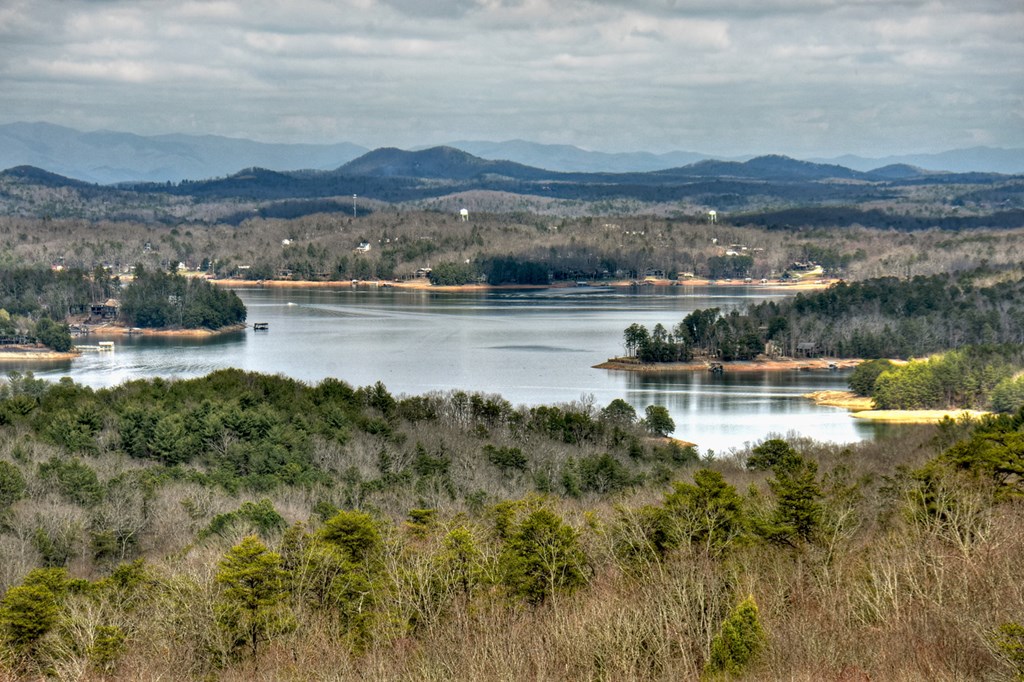 61 Ripshin Heights Lane Blue Ridge, GA 30513 - Photo 3 of 59