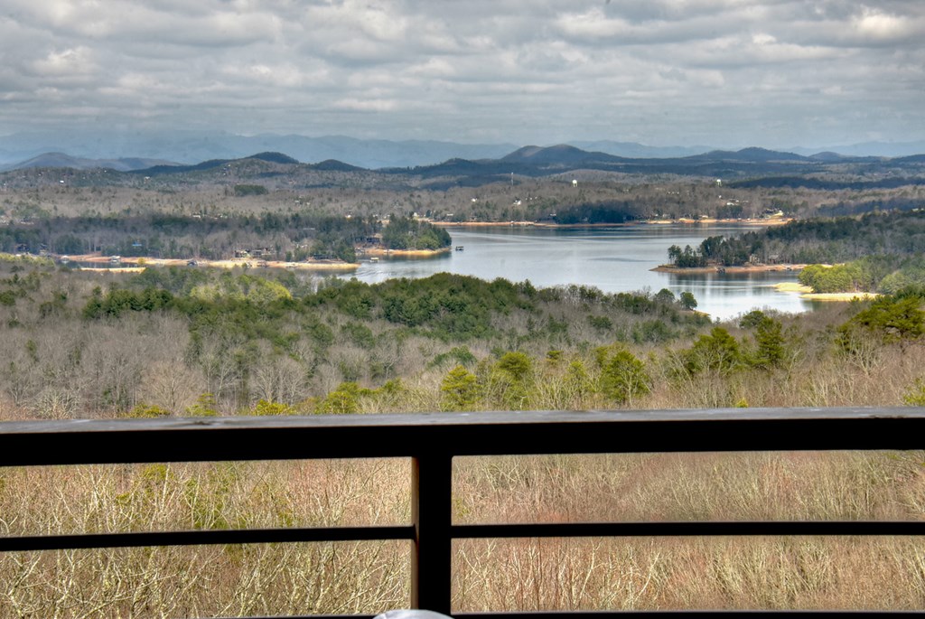 61 Ripshin Heights Lane Blue Ridge, GA 30513 - Photo 50 of 59