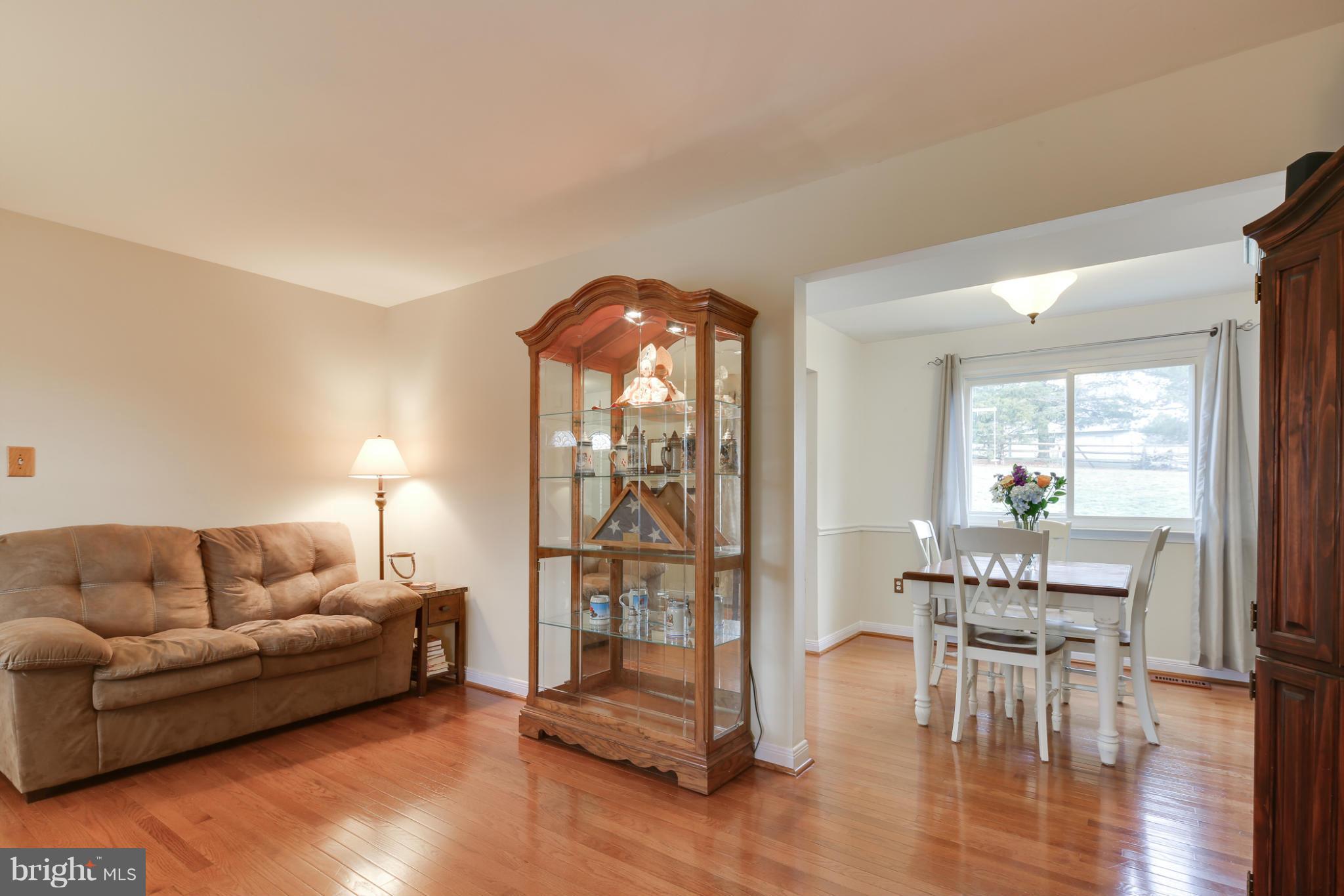 10417 Carlyn Ridge Road Damascus, MD 20872 - Photo 6 of 30 Living Room