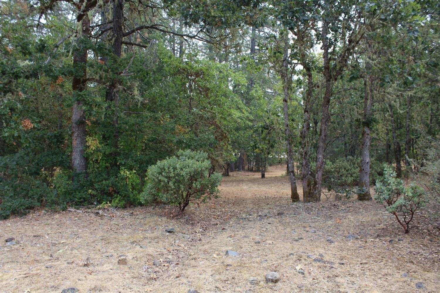 5532 Rockydale Road Cave Junction, OR 97523 - Photo 16 of 19 Additional Photo