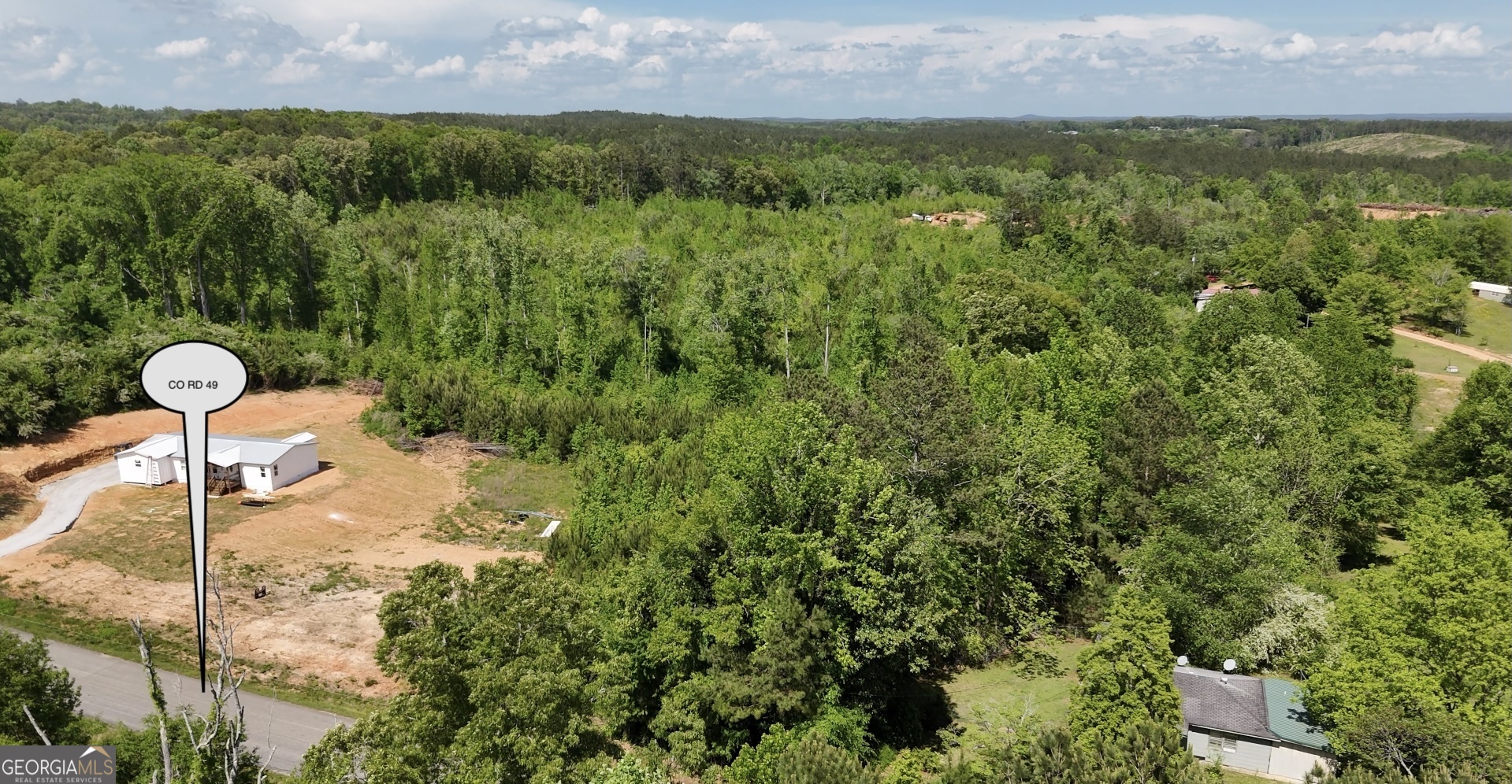 22024 Co Road Muscadine, AL 36269 - Photo 3 of 4