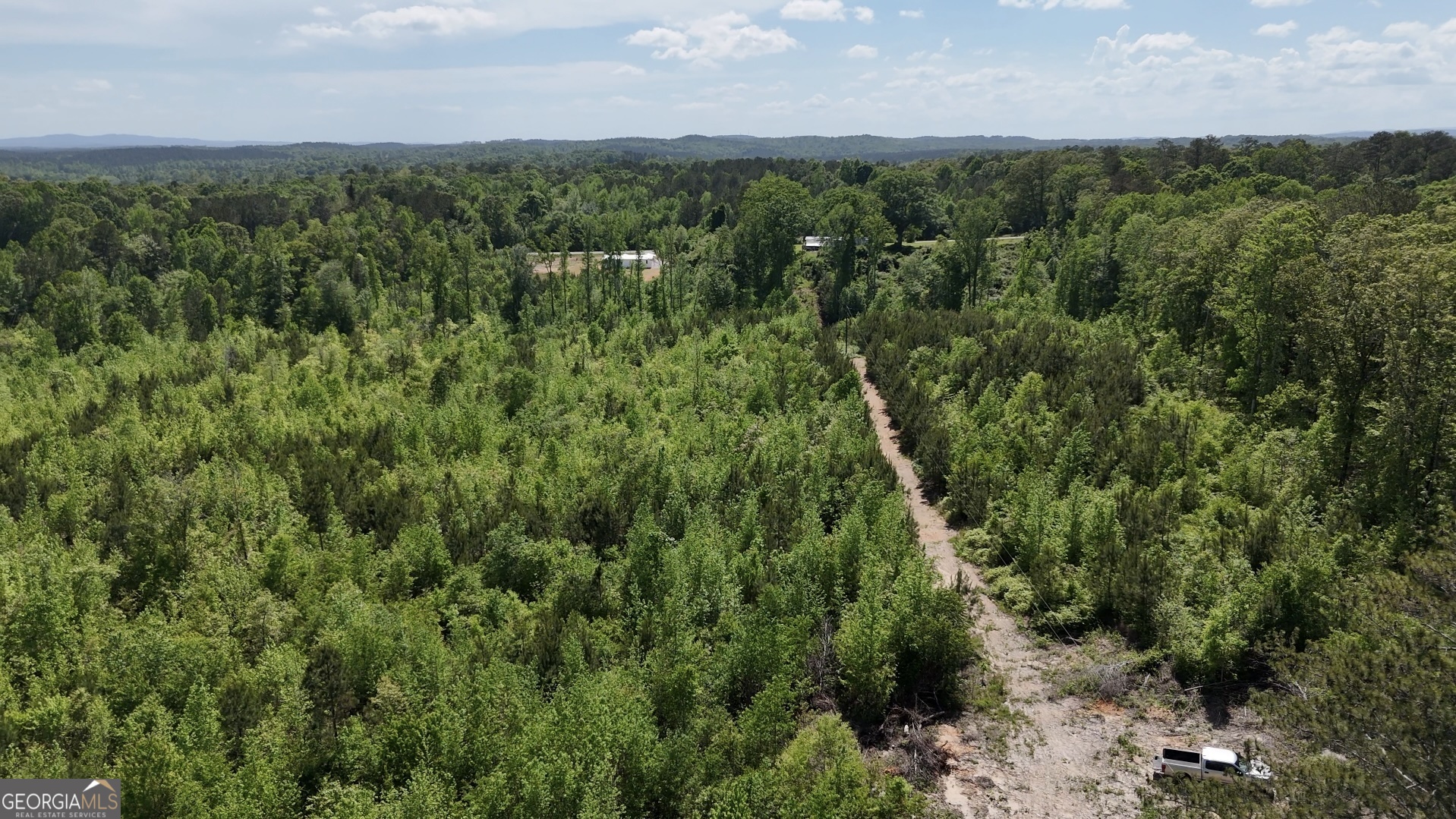 22024 Co Road Muscadine, AL 36269 - Photo 4 of 4
