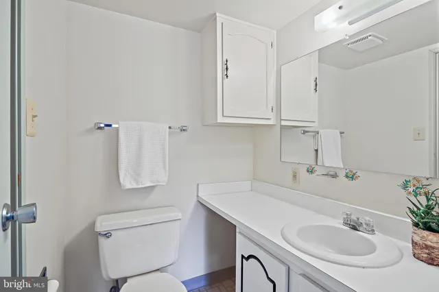 a bathroom with a sink toilet and vanity