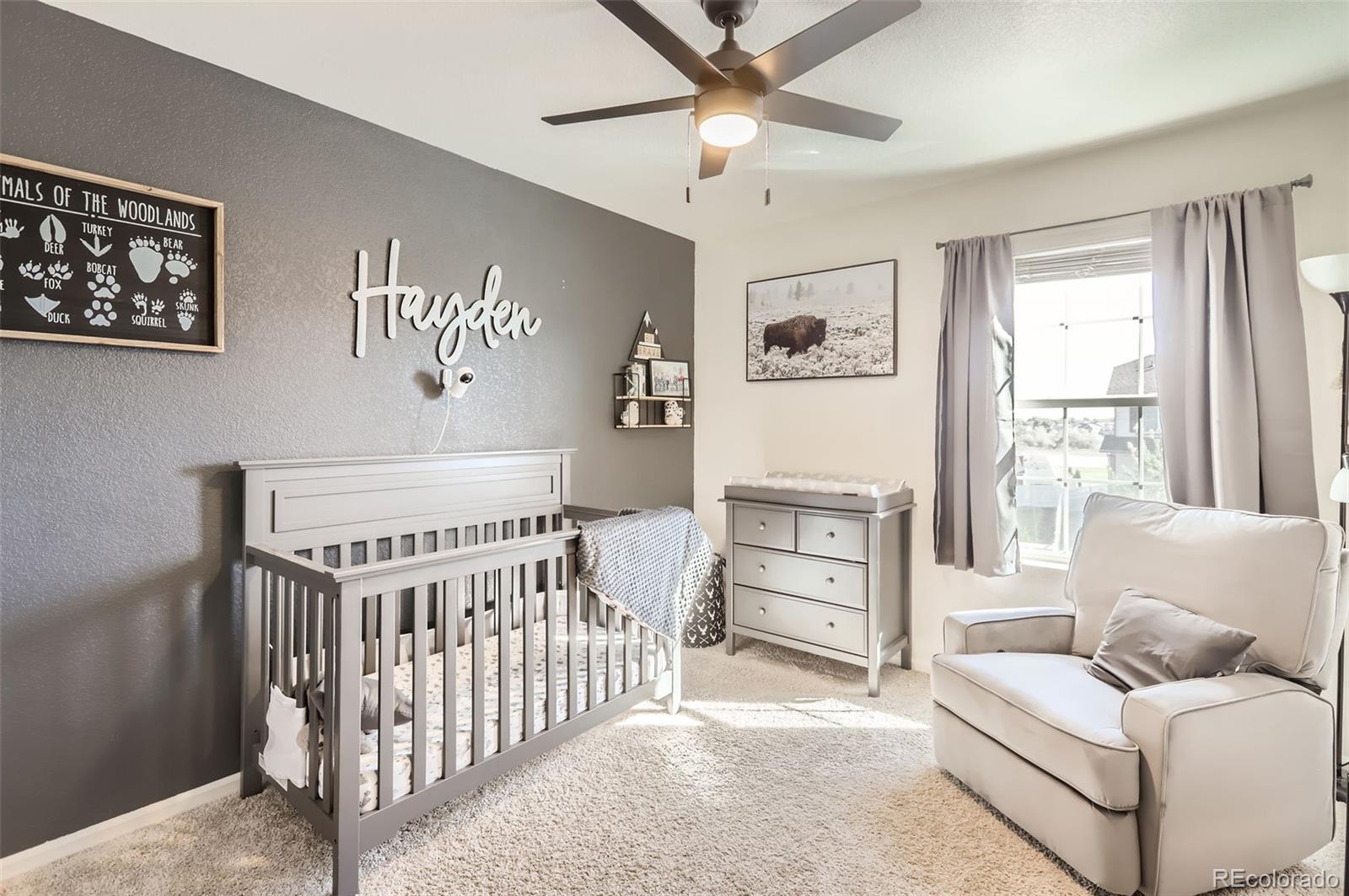 10135 Cedar Street Firestone, CO 80504 - Photo 22 of 28