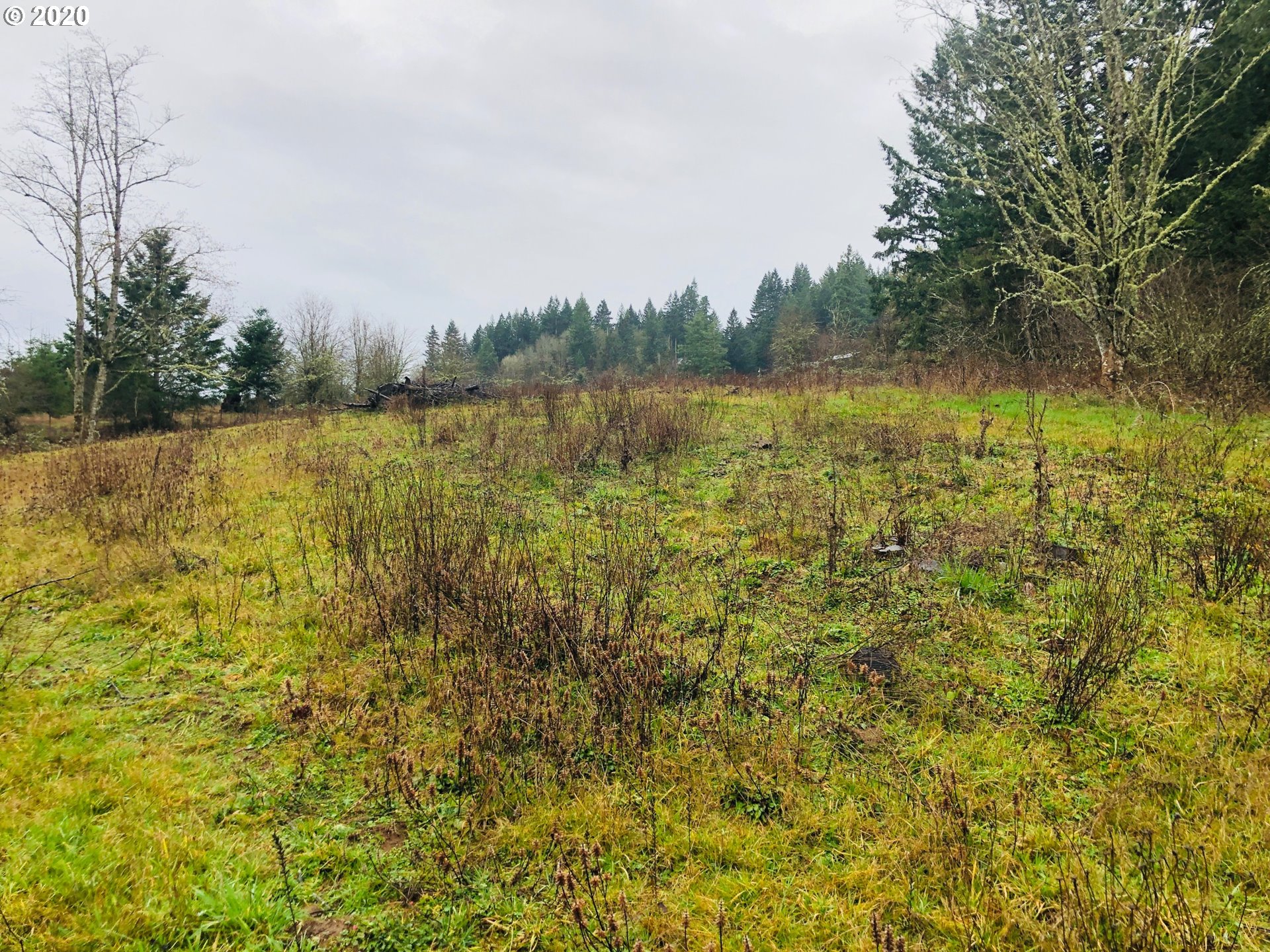 17342 South Henrici Road Oregon City, OR 97045 - Photo 3 of 6 Gallery Image 3