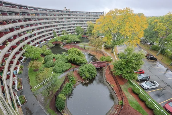 a view of a park with a bench and trees in the background