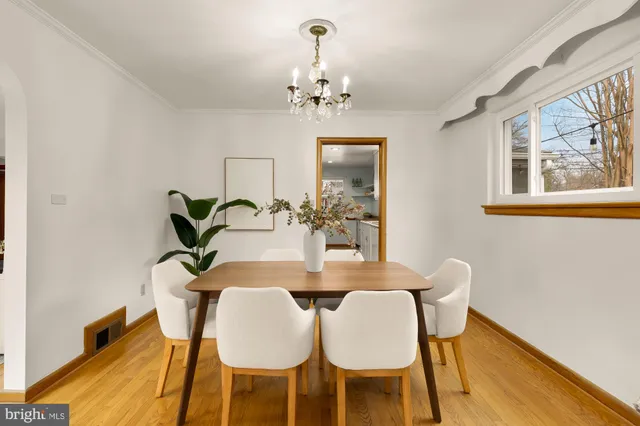 a dining room with furniture potted plants and wooden floor