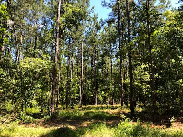 0 Fred Bacot Road Summit, MS 39666 - Photo 11 of 13 Photo 11