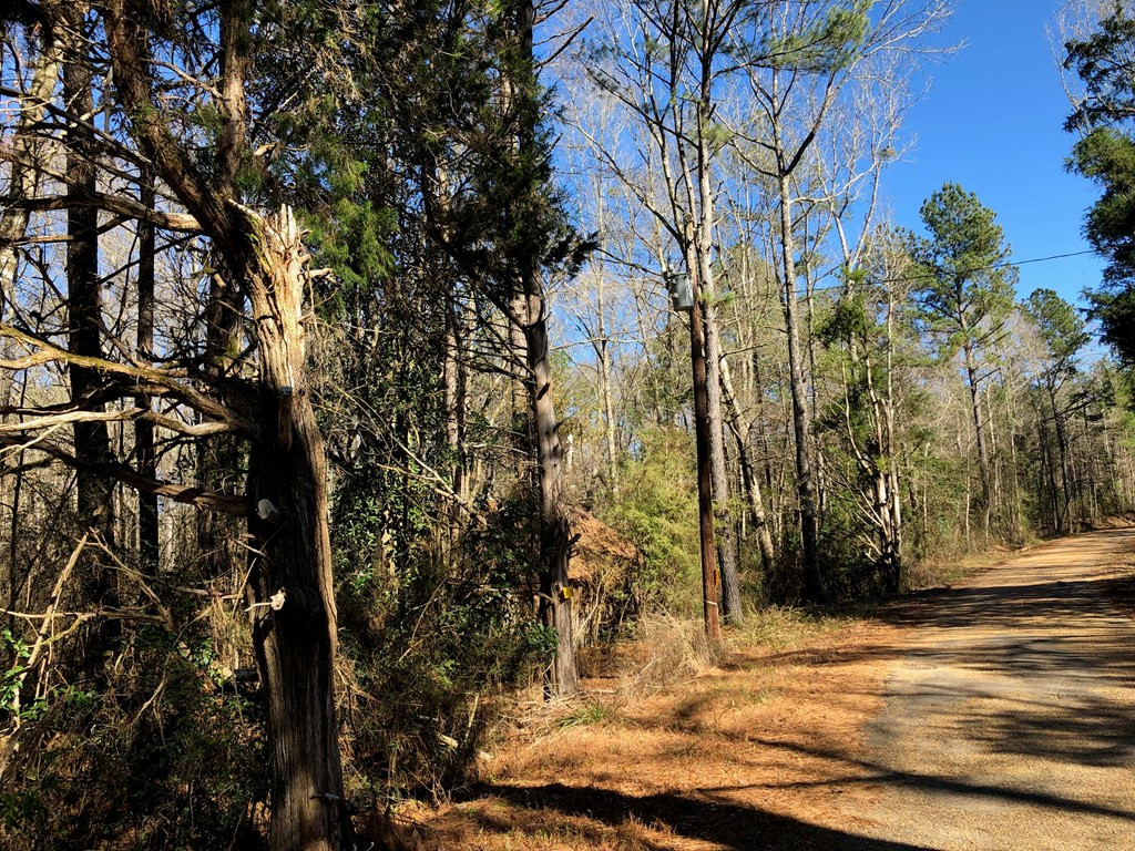 0 Fred Bacot Road Summit, MS 39666 - Photo 13 of 13 Photo 13