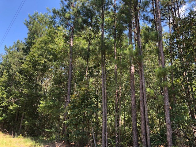 0 Fred Bacot Road Summit, MS 39666 - Photo 2 of 13 Photo 2
