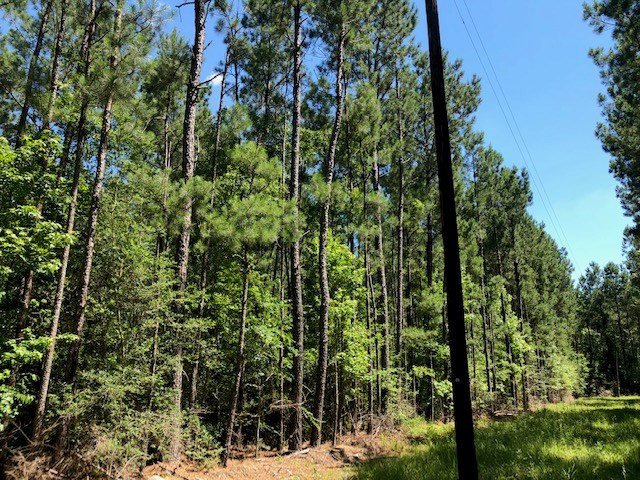0 Fred Bacot Road Summit, MS 39666 - Photo 5 of 13 Photo 5