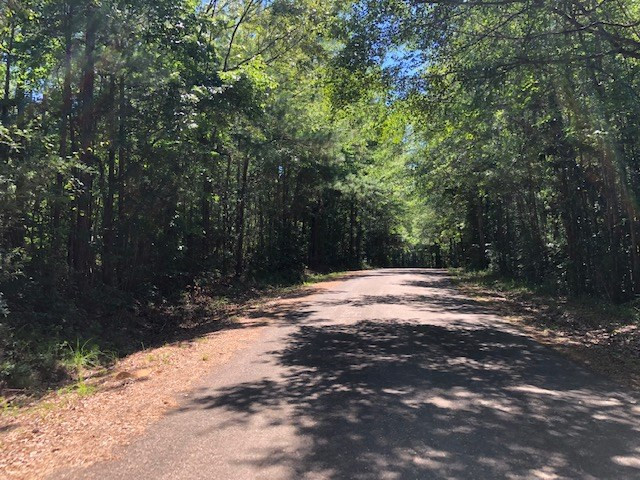 0 Fred Bacot Road Summit, MS 39666 - Photo 10 of 13 Photo 10