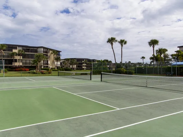 a view of a tennis ground with large trees