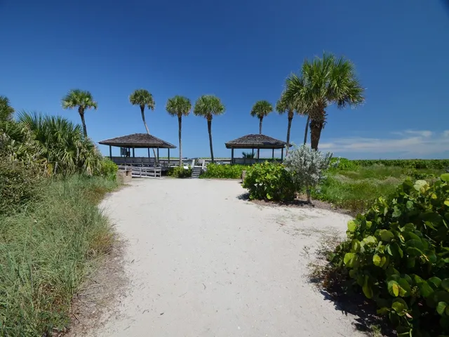 a house with palm tree in front of it