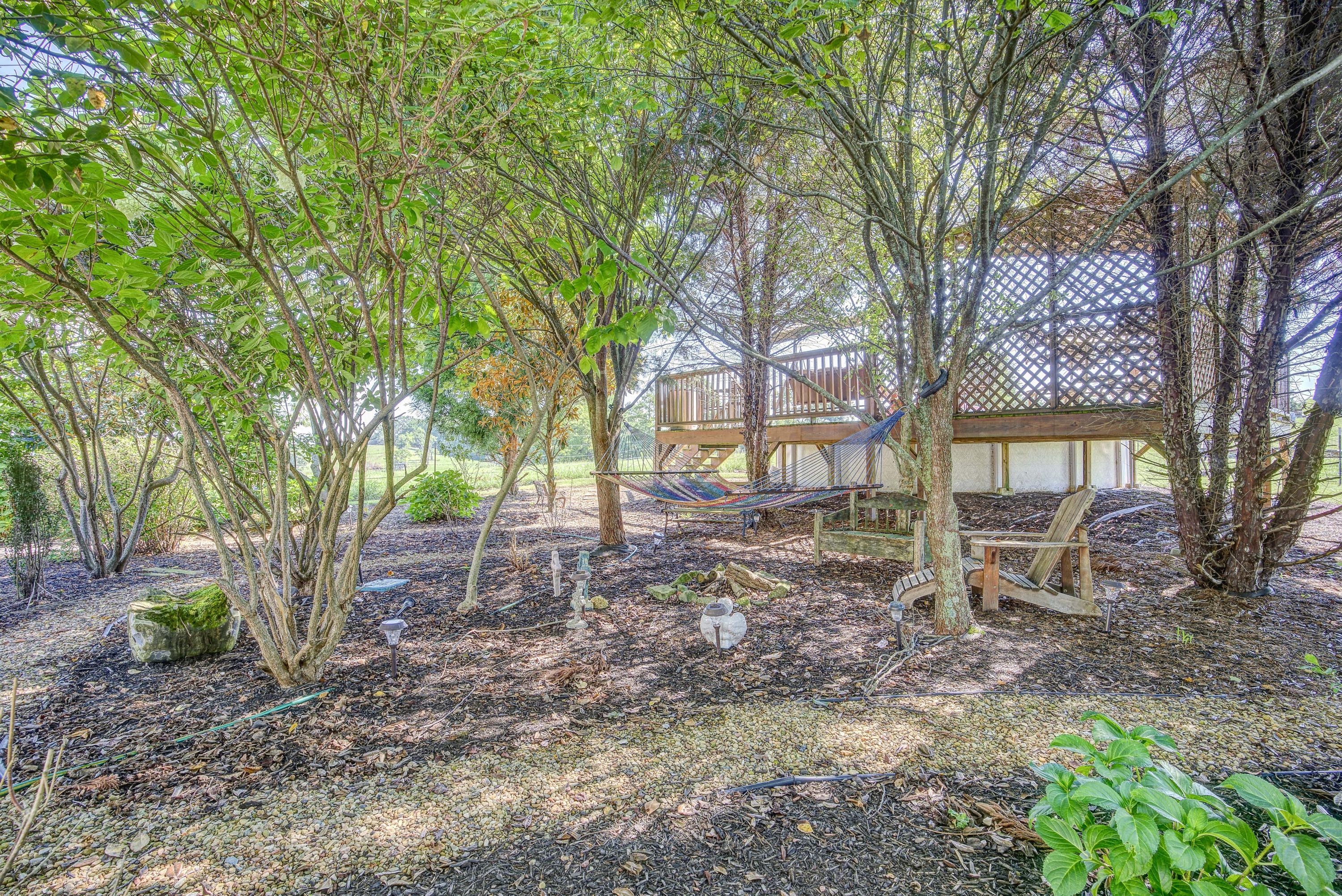 8390 Snapps Ferry Road Chuckey, TN 37641 - Photo 46 of 74 Snapps--45