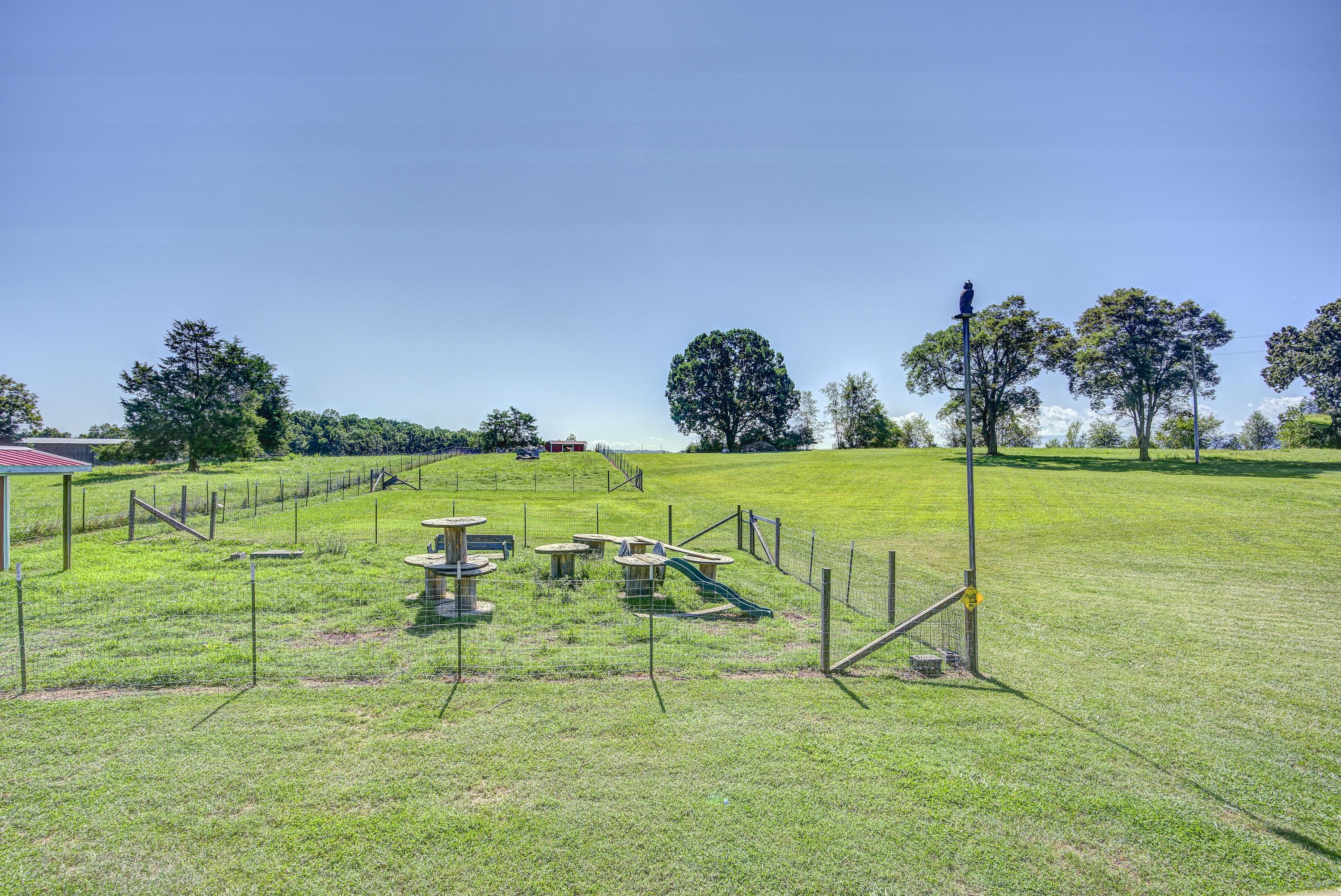 8390 Snapps Ferry Road Chuckey, TN 37641 - Photo 48 of 74 Snapps--47