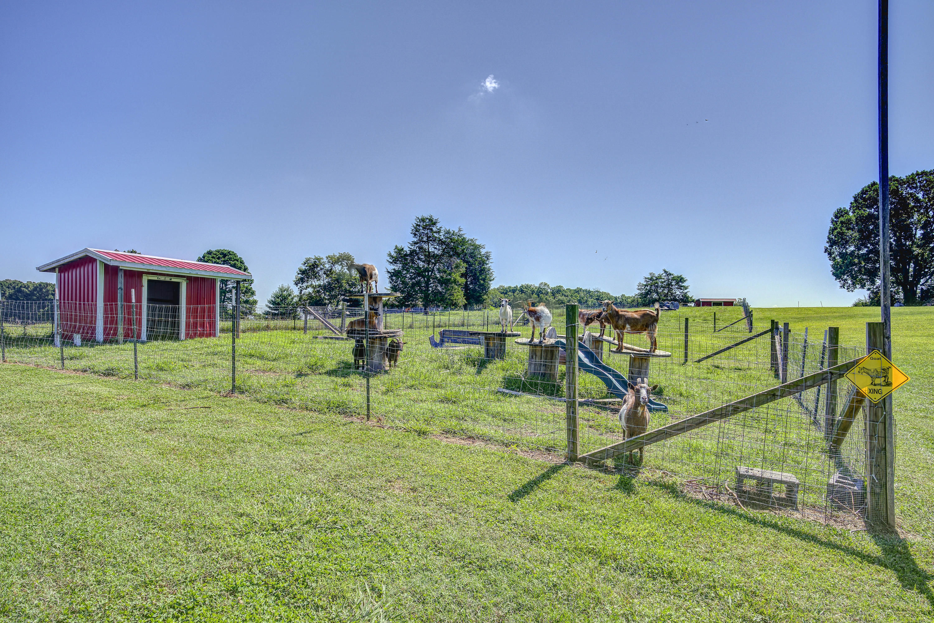 8390 Snapps Ferry Road Chuckey, TN 37641 - Photo 50 of 74 Snapps--51