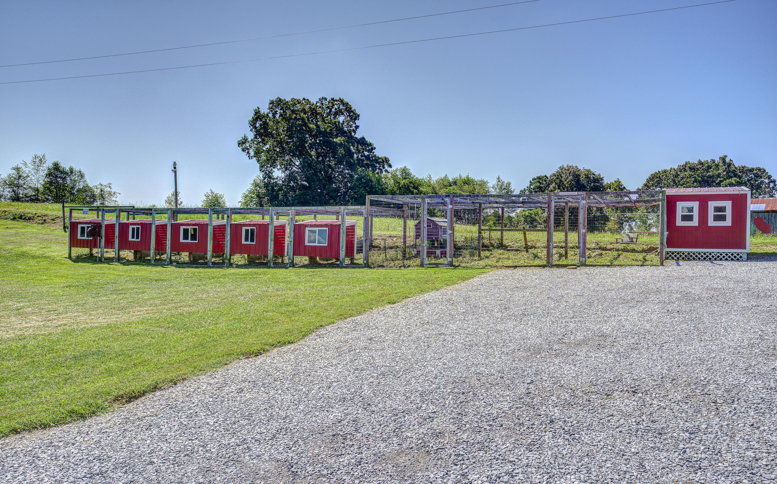 8390 Snapps Ferry Road Chuckey, TN 37641 - Photo 54 of 74 Snapps--58